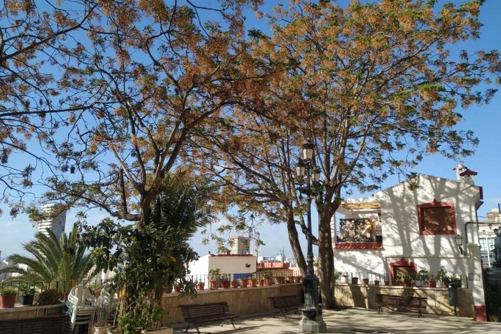 אליקאנטה San Antonio Villa מראה חיצוני תמונה